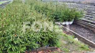 Apel povodom praznika